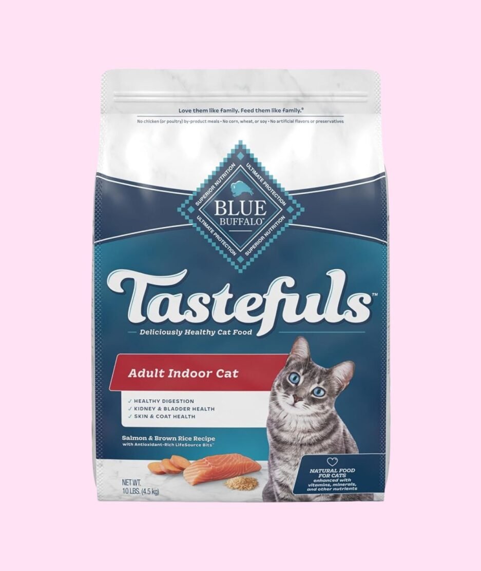 Adult Dry Cat Food