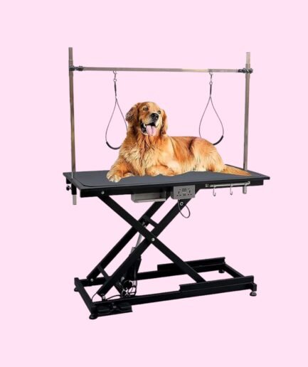 Deluxe 50'' Electric Pet Grooming Table