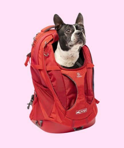 Dog Carrier Backpack