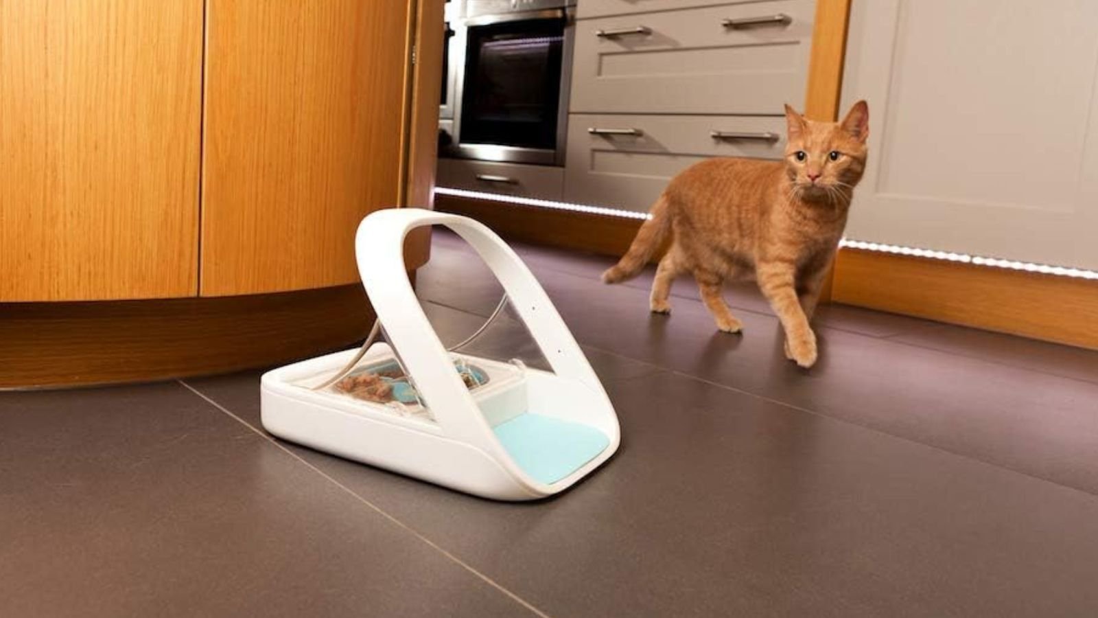 Microchip Pet Feeder Review
