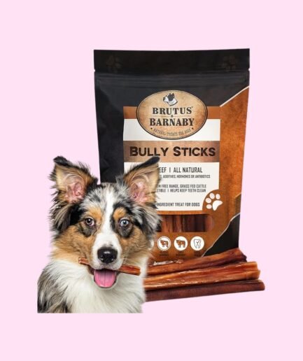 Natural Bully Sticks for Dogs