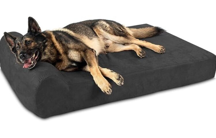 Orthopedic Dog Bed Review