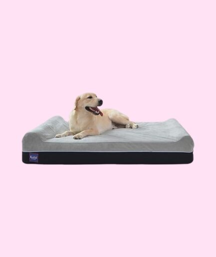 Orthopedic Memory Foam