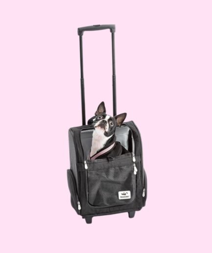 Pet Carrier