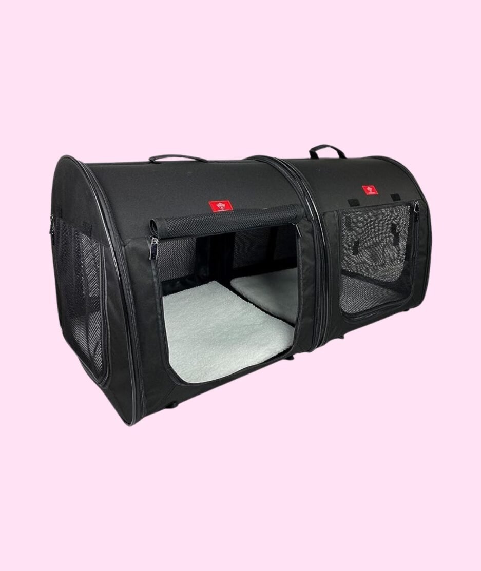 Pet Shelter