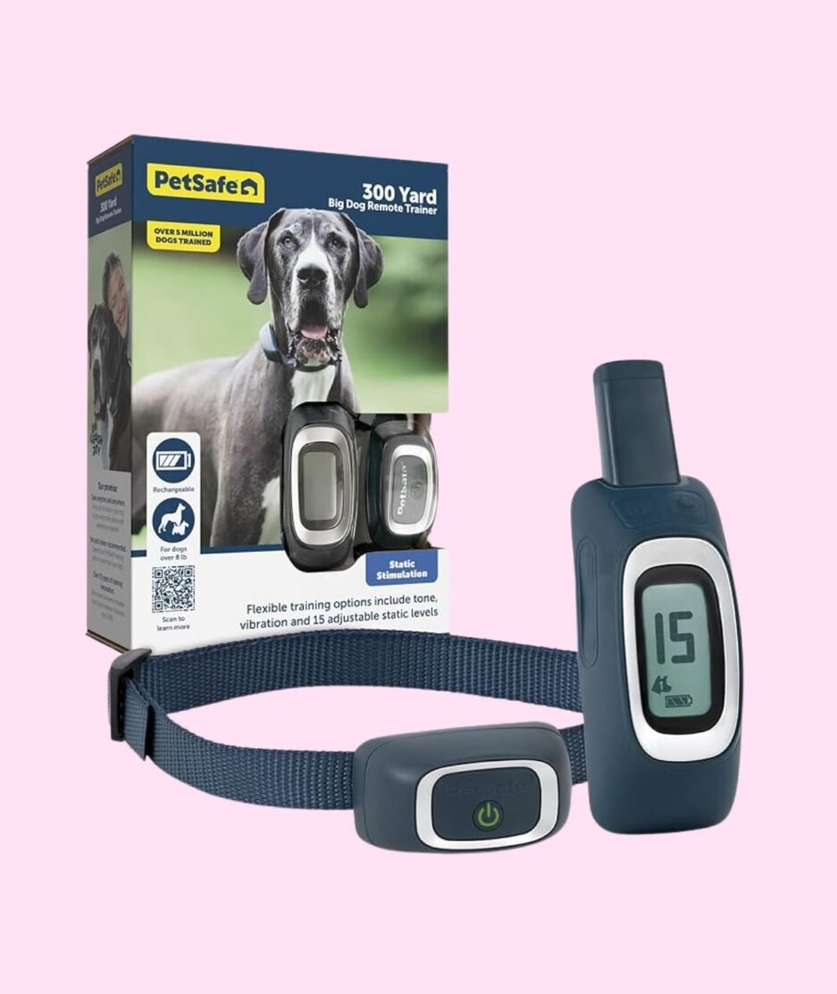 PetSafe Remote Training Collar