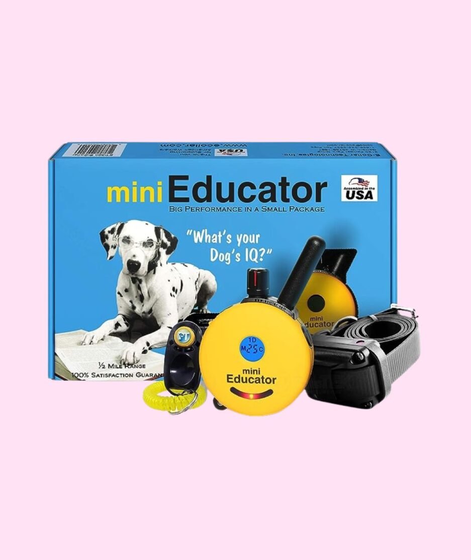 Remote Training Collar