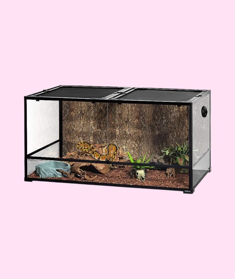 Reptile Tank