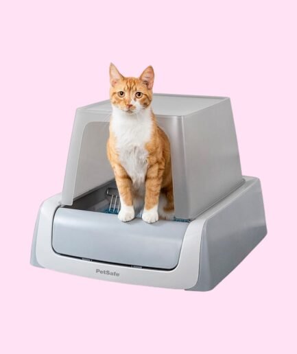 Self-Cleaning Litter Box