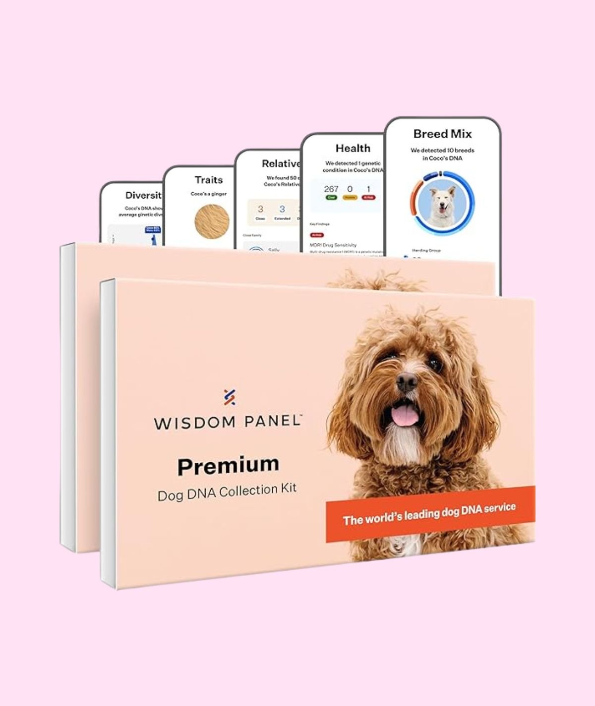 Wisdom Panel Dog DNA Kit Wisdom Panel Dog DNA Kit